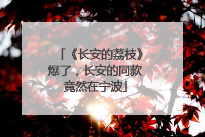《长安的荔枝》爆了，长安的同款竟然在宁波