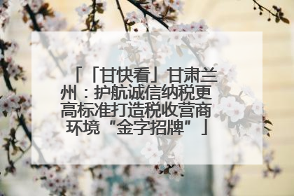 「甘快看」甘肃兰州：护航诚信纳税更高标准打造税收营商环境“金字招牌”