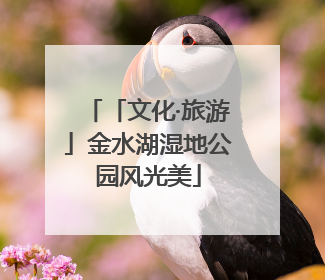 「文化·旅游」金水湖湿地公园风光美