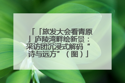 「旅发大会看青原」庐陵湾畔绘新景：采访团沉浸式解码“诗与远方”（图）