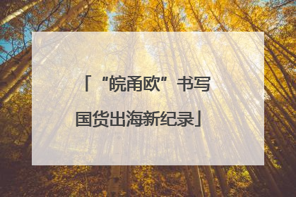 “皖甬欧”书写国货出海新纪录