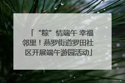 “粽”情端午 幸福邻里！燕罗街道罗田社区开展端午游园活动
