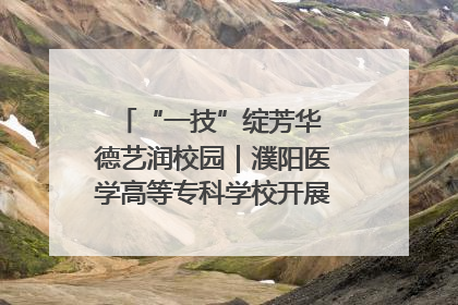 “一技”绽芳华 德艺润校园｜濮阳医学高等专科学校开展丰富多彩的职业教育活动周主题活动