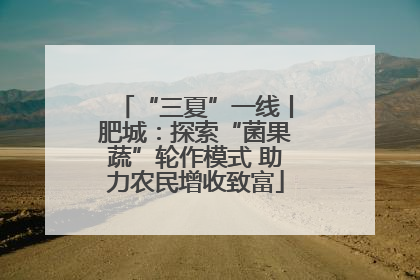 “三夏”一线丨肥城：探索“菌果蔬”轮作模式 助力农民增收致富