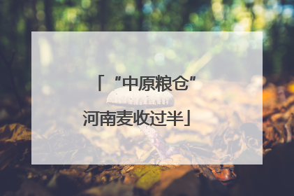 “中原粮仓”河南麦收过半