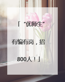 “优师生”有编有岗，招800人！