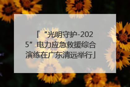 “光明守护-2025”电力应急救援综合演练在广东清远举行