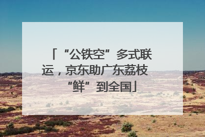 “公铁空”多式联运，京东助广东荔枝“鲜”到全国