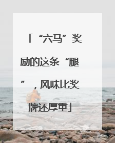 “六马”奖励的这条“腿”，风味比奖牌还厚重