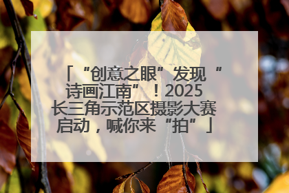 “创意之眼”发现“诗画江南”！2025长三角示范区摄影大赛启动，喊你来“拍”