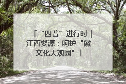 “四普”进行时｜江西婺源：呵护“徽文化大观园”