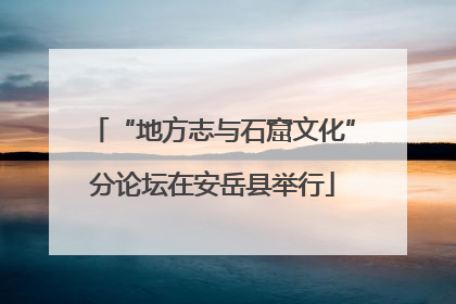 “地方志与石窟文化”分论坛在安岳县举行