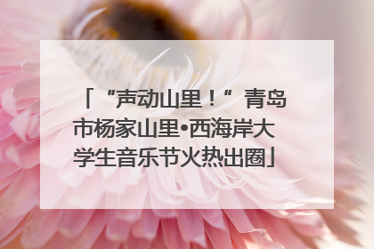 “声动山里！”青岛市杨家山里•西海岸大学生音乐节火热出圈