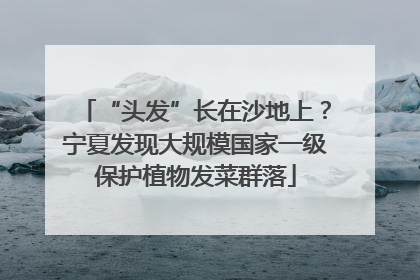 “头发”长在沙地上？宁夏发现大规模国家一级保护植物发菜群落