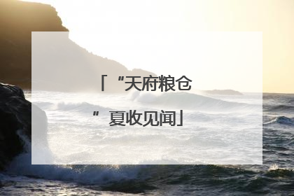 “天府粮仓”夏收见闻