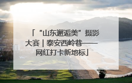 “山东邂逅美”摄影大赛｜泰安西岭巷——网红打卡新地标