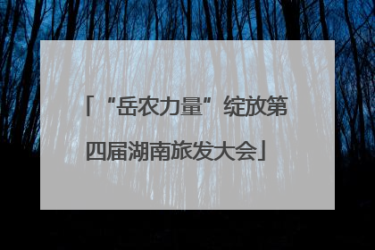 “岳农力量”绽放第四届湖南旅发大会