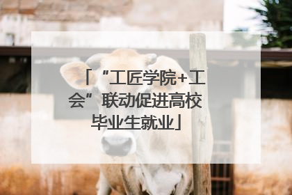 “工匠学院+工会”联动促进高校毕业生就业