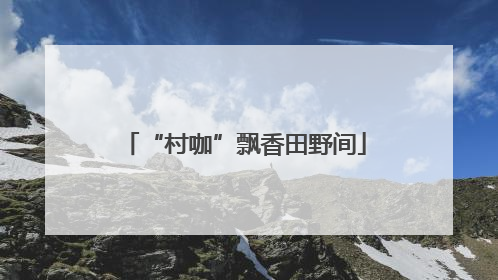 “村咖”飘香田野间