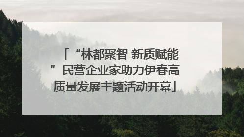 “林都聚智 新质赋能”民营企业家助力伊春高质量发展主题活动开幕
