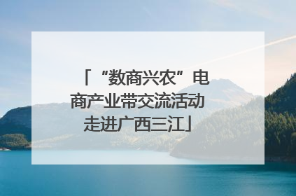 “数商兴农”电商产业带交流活动走进广西三江