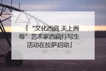 “文化西藏 天上画卷”艺术家西藏行写生活动在拉萨启动
