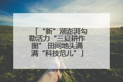“新”潮澎湃勾勒活力“三夏耕作图” 田间地头满满“科技范儿”