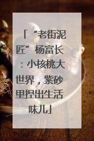 “老街泥匠”杨富长：小核桃大世界，紫砂里捏出生活味儿