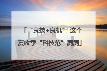 “良技+良机” 这个夏收季“科技范”满满