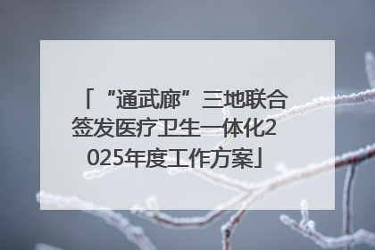 “通武廊”三地联合签发医疗卫生一体化2025年度工作方案