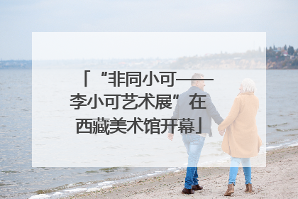 “非同小可——李小可艺术展”在西藏美术馆开幕