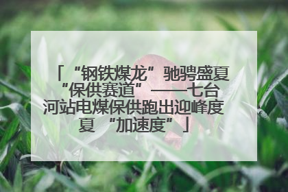 “钢铁煤龙”驰骋盛夏 “保供赛道”——七台河站电煤保供跑出迎峰度夏 “加速度”