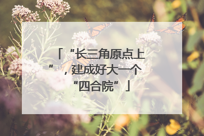 “长三角原点上”，建成好大一个“四合院”