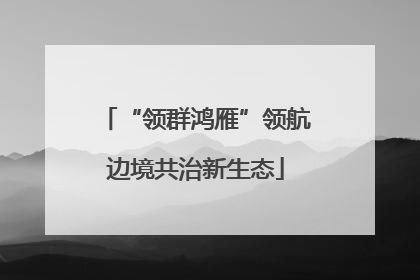 “领群鸿雁”领航边境共治新生态
