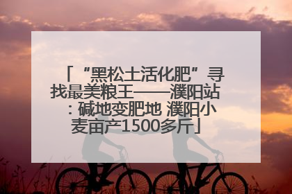 “黑松土活化肥”寻找最美粮王——濮阳站：碱地变肥地 濮阳小麦亩产1500多斤