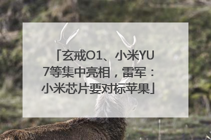 玄戒O1、小米YU7等集中亮相，雷军：小米芯片要对标苹果