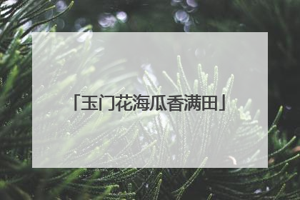 玉门花海瓜香满田