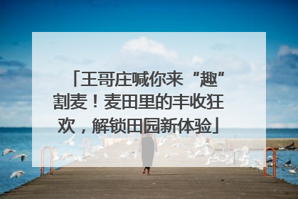王哥庄喊你来“趣”割麦！麦田里的丰收狂欢，解锁田园新体验