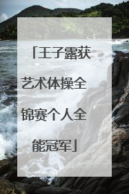 王子露获艺术体操全锦赛个人全能冠军