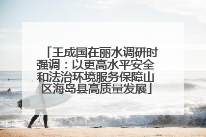 王成国在丽水调研时强调：以更高水平安全和法治环境服务保障山区海岛县高质量发展