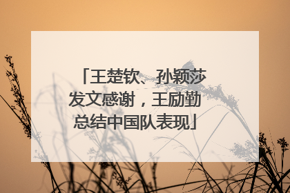 王楚钦、孙颖莎发文感谢，王励勤总结中国队表现