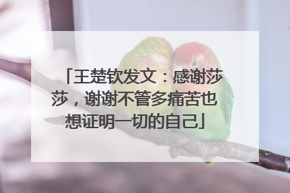 王楚钦发文：感谢莎莎，谢谢不管多痛苦也想证明一切的自己
