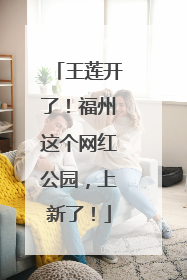 王莲开了！福州这个网红公园，上新了！