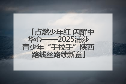 点燃少年红 闪耀中华心——2025浦莎青少年“手拉手”陕西路线丝路续新章