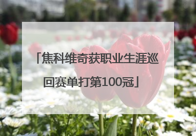 焦科维奇获职业生涯巡回赛单打第100冠
