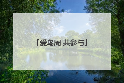 爱鸟周 共参与