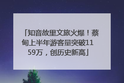 知音故里文旅火爆！蔡甸上半年游客量突破1159万，创历史新高