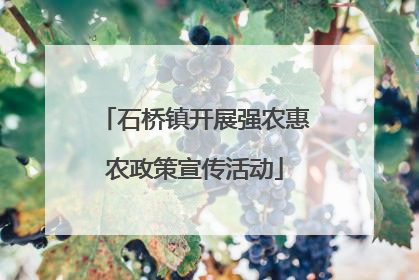 石桥镇开展强农惠农政策宣传活动