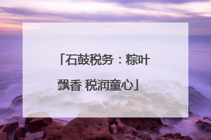 石鼓税务：粽叶飘香 税润童心