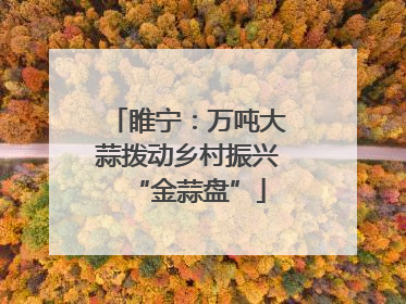 睢宁：万吨大蒜拨动乡村振兴“金蒜盘”